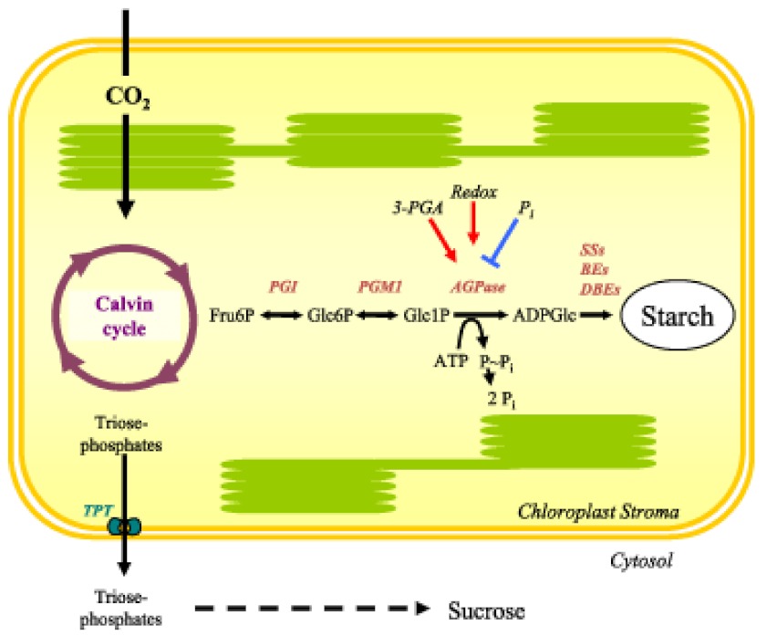 Figure 6.