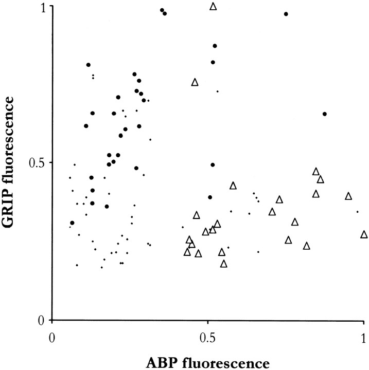 Fig. 8.