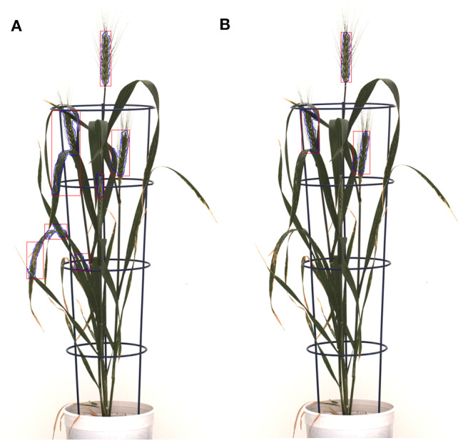 Figure 10