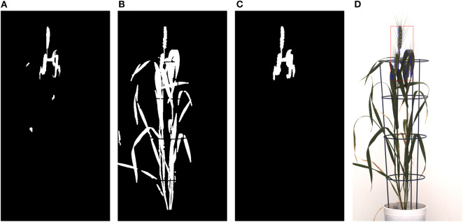 Figure 11