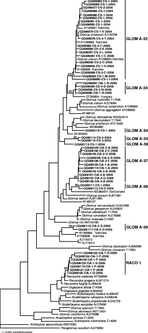 Fig. 6