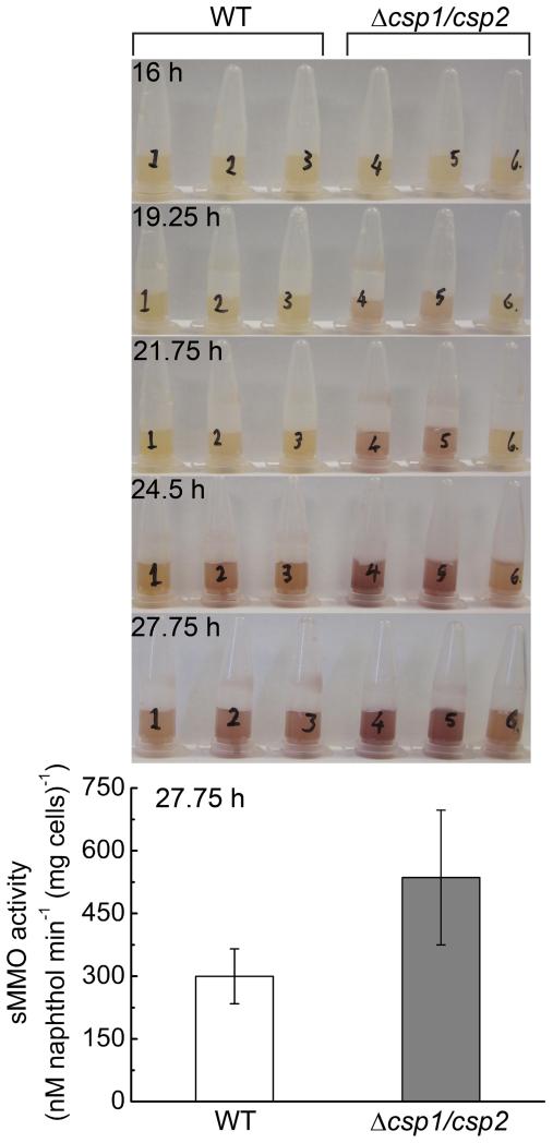 Extended Data Figure 4 