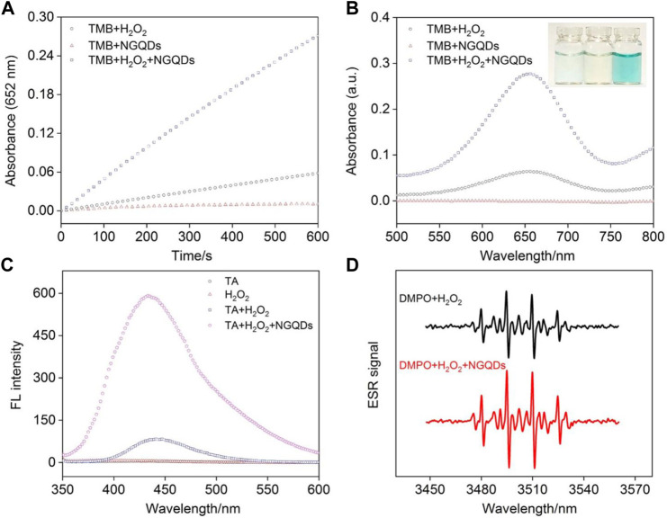 FIGURE 4