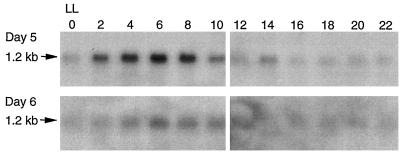 FIG. 4