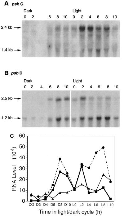 FIG. 5
