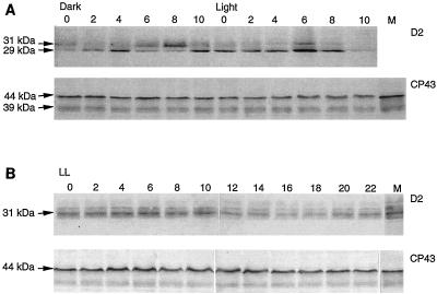 FIG. 8