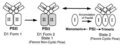 FIG. 10