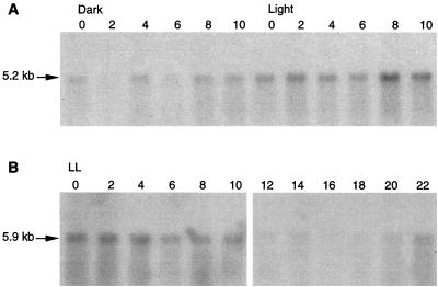 FIG. 6