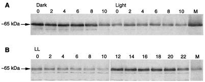 FIG. 9