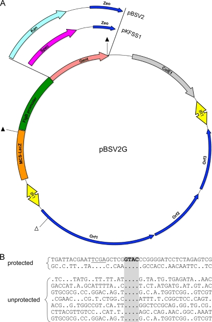 FIG. 7.