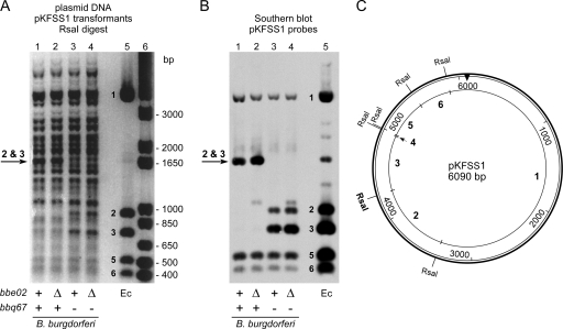 FIG. 6.