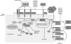Fig. 2.