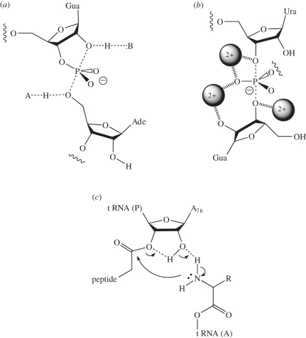 Figure 1.