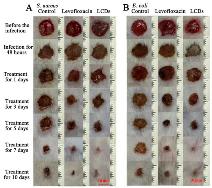 Figure 12