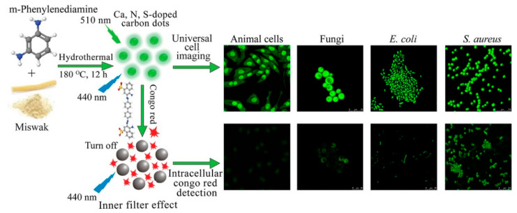 Figure 13