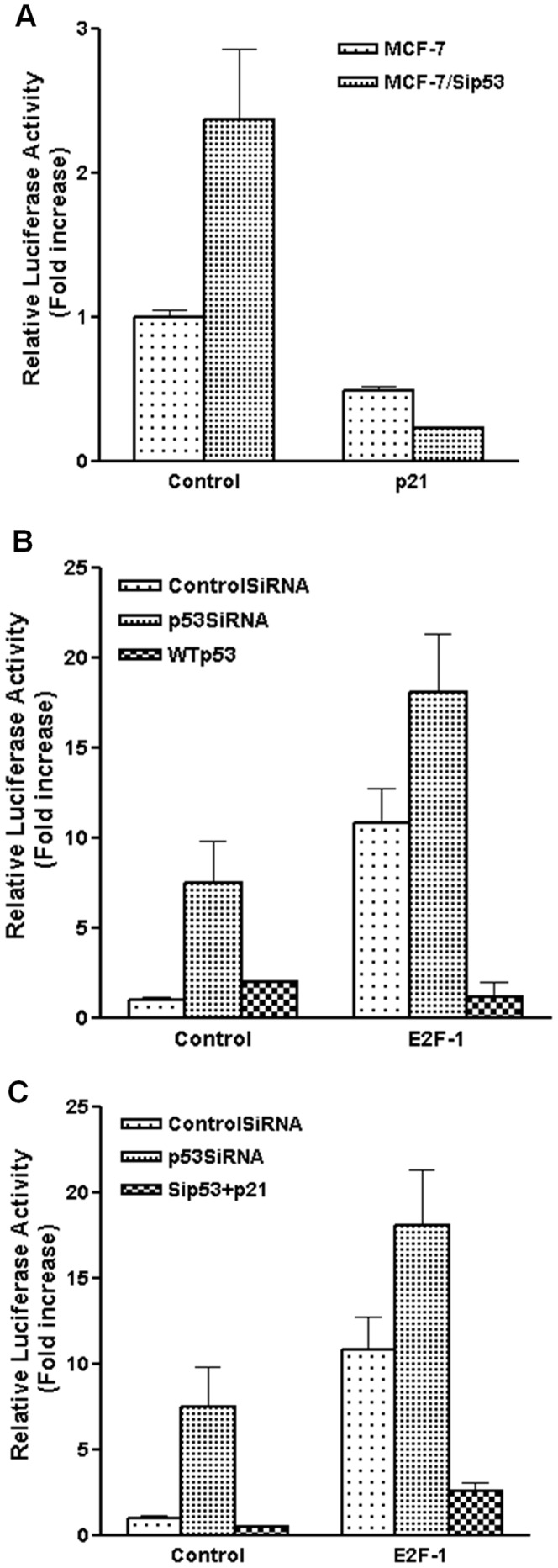 Figure 6