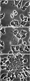 FIG. 5.