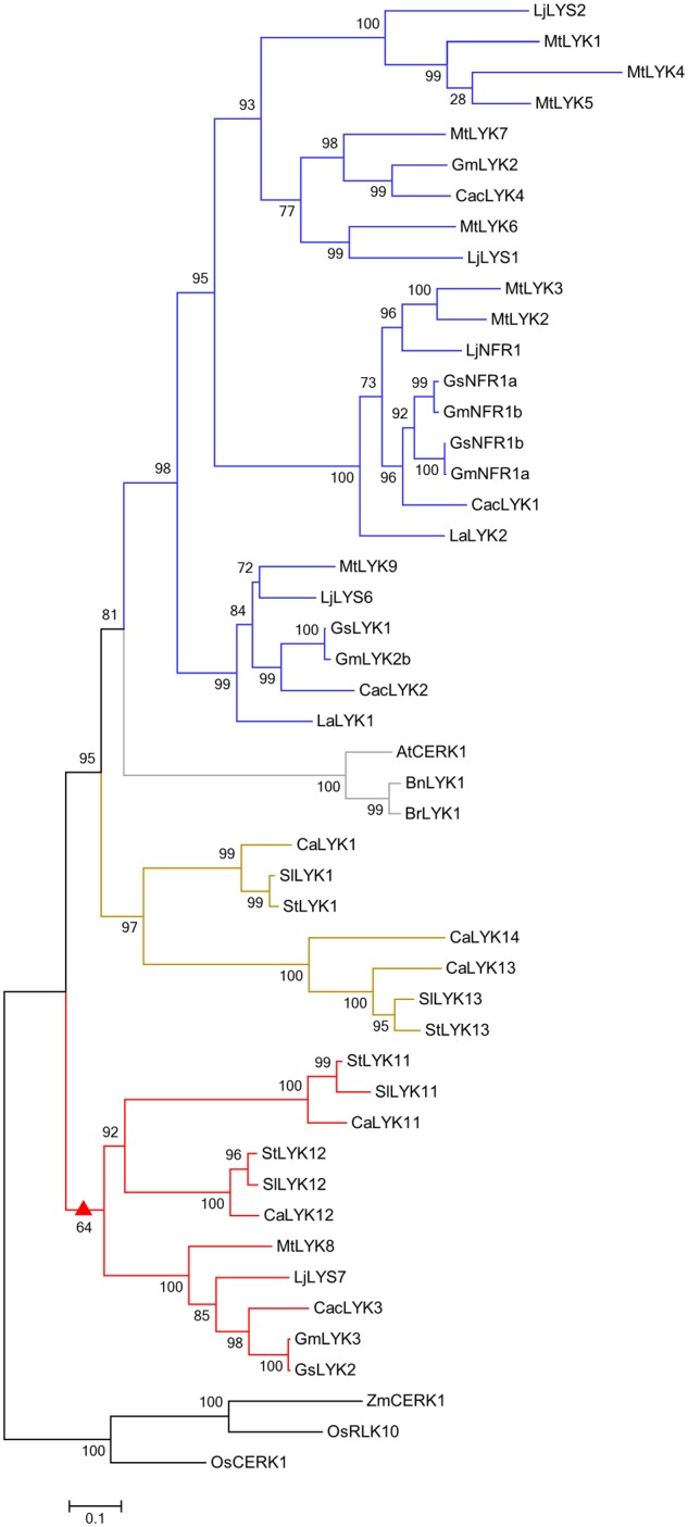 FIGURE 5