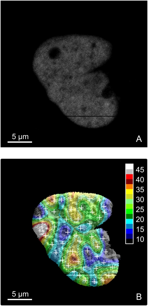 Figure 14