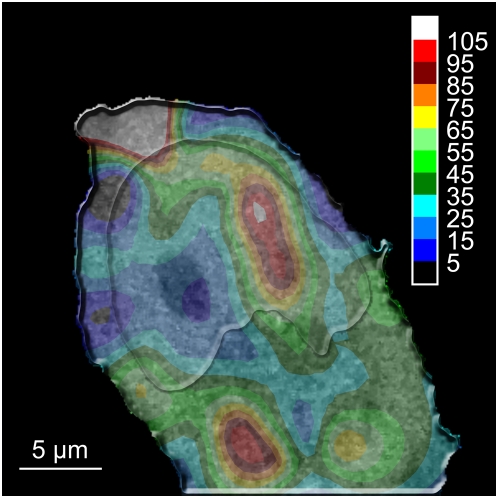 Figure 13