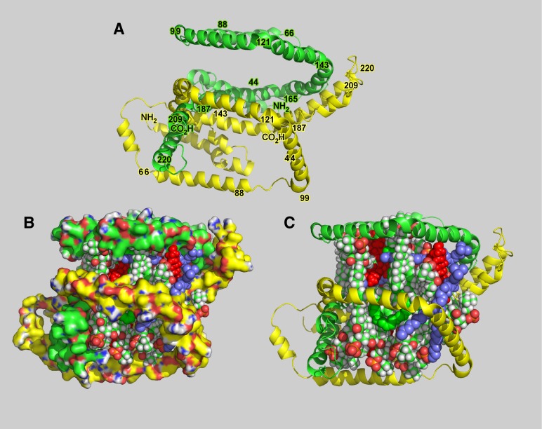 Fig. 6.