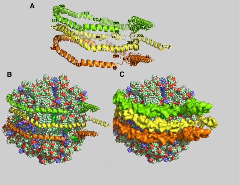 Fig. 7.