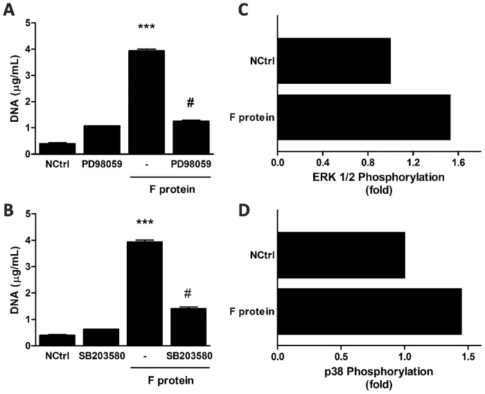 Fig 5