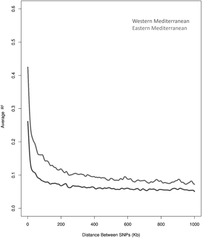 Fig. 4