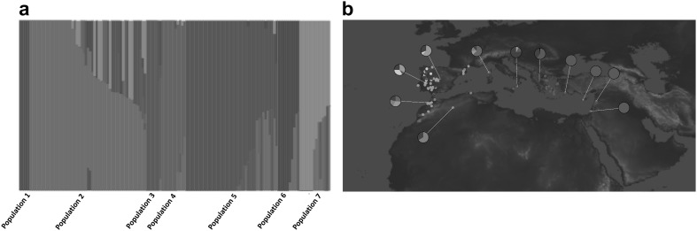 Fig. 2