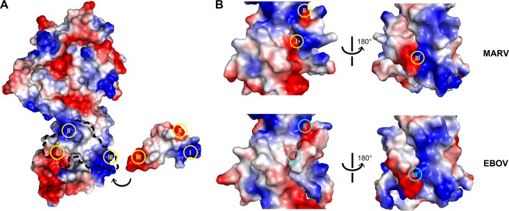 FIG 4