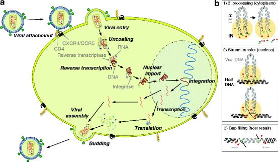 Fig. 1