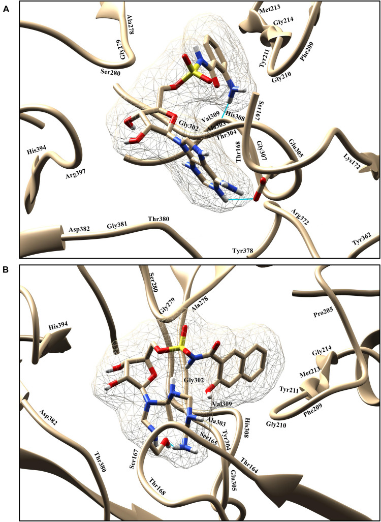 FIGURE 6