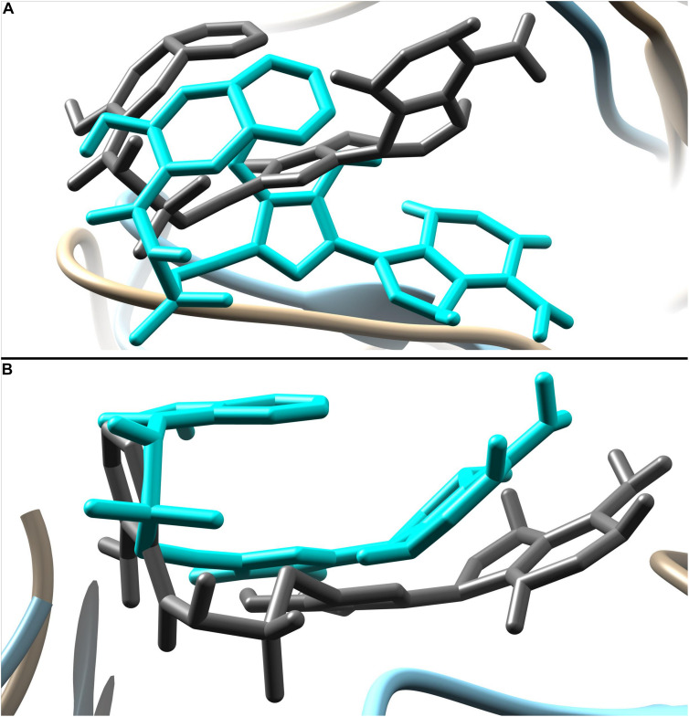 FIGURE 9