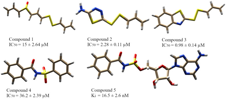 FIGURE 3