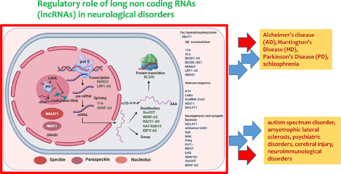 Image, graphical abstract