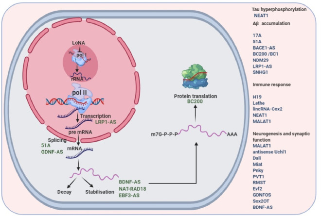 Fig. 2: