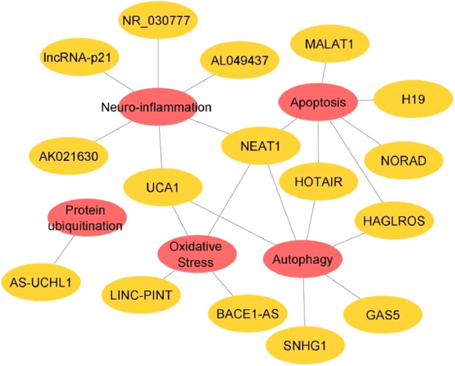 Fig. 4: