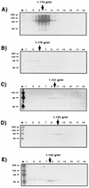 FIG. 7