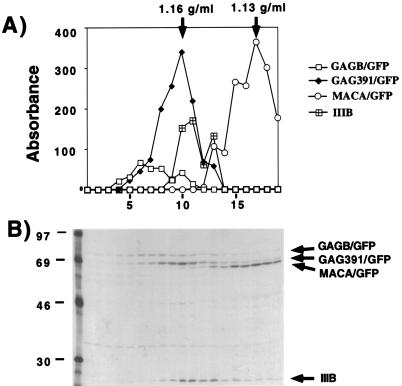 FIG. 8