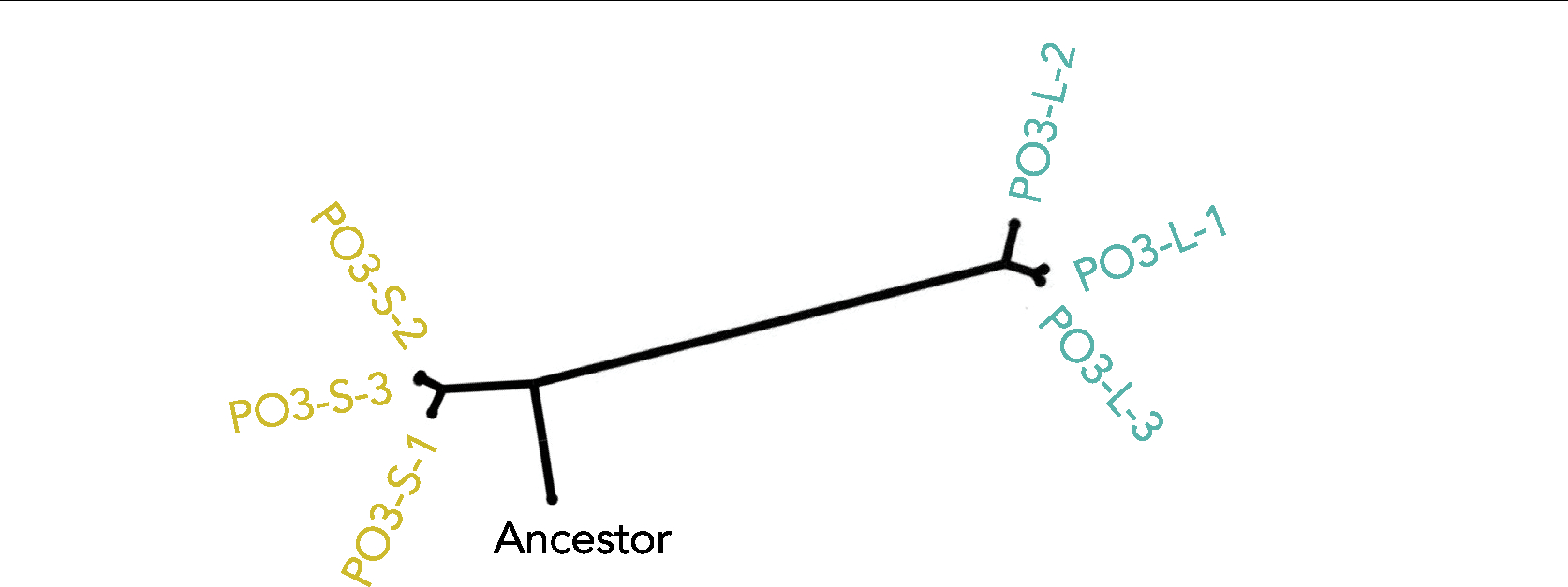 Extended Data Fig. 3 |