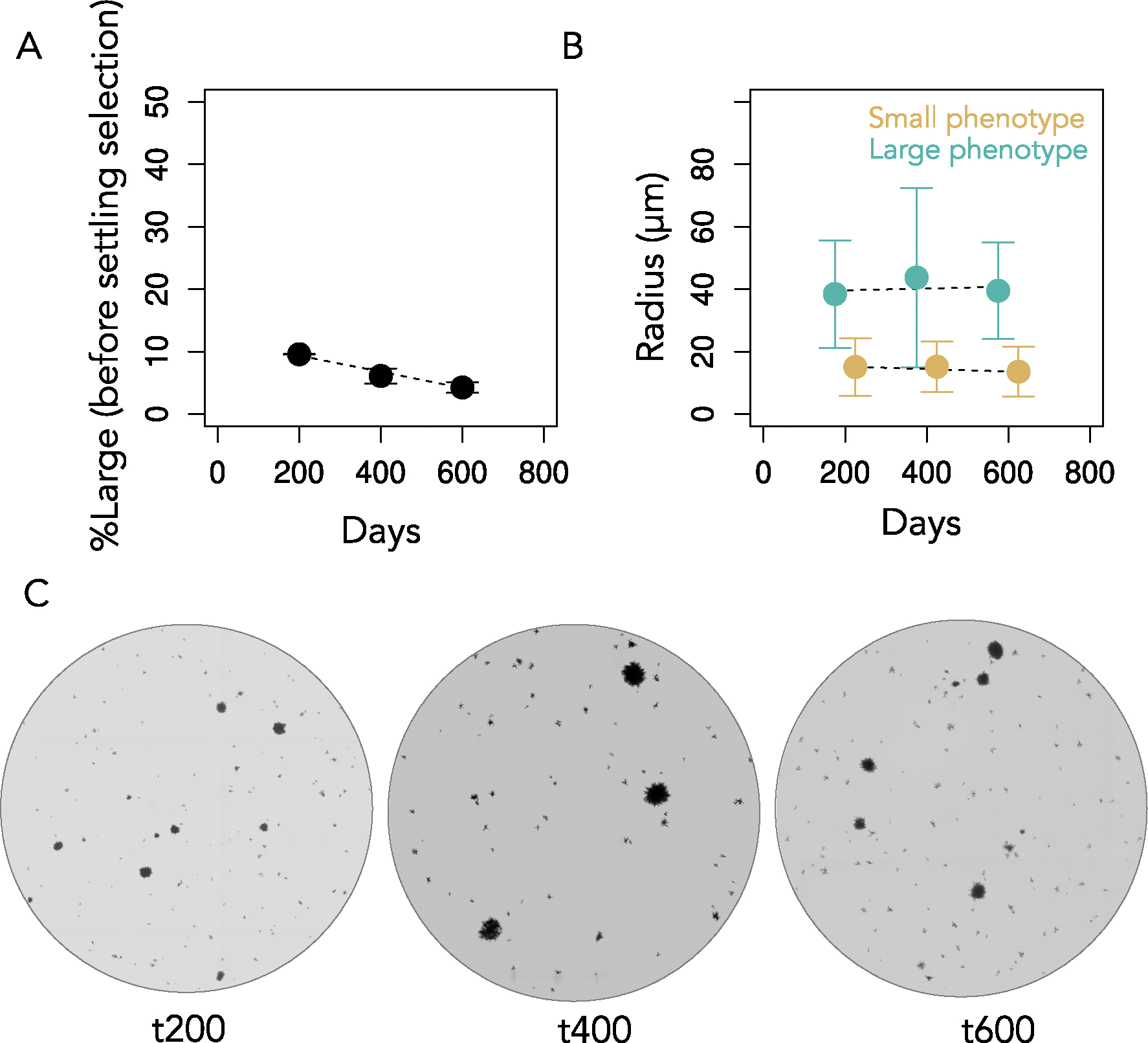 Extended Data Fig. 4 |