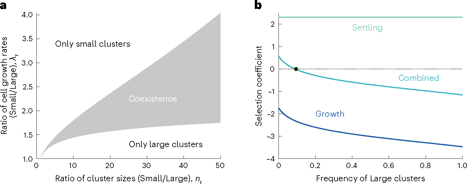 Fig. 3 |