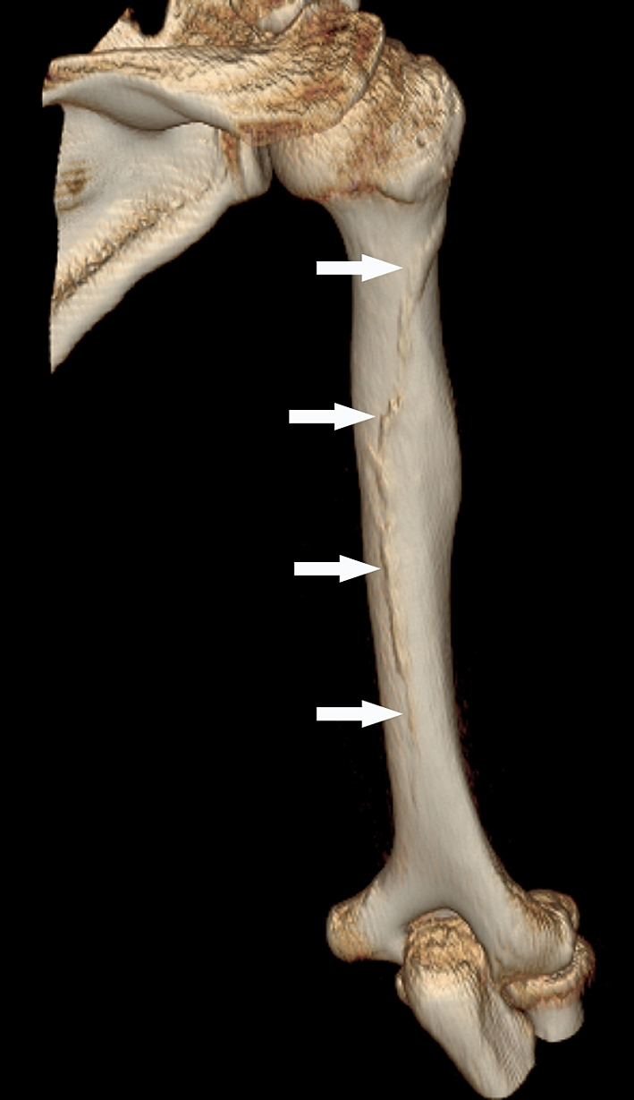Fig. 5