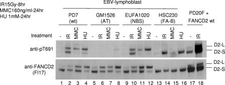 FIG. 6.