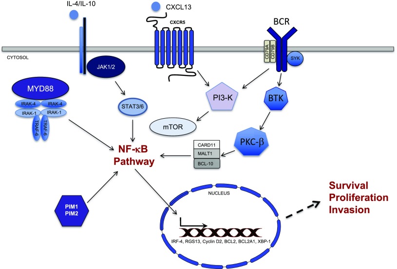 Figure 5.