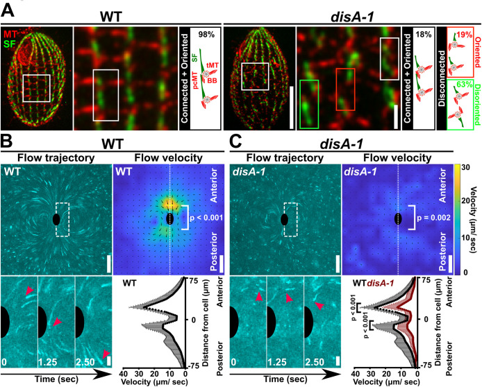 FIGURE 3: