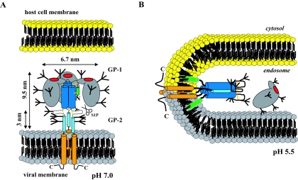 FIG. 8.