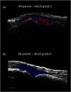 Fig. 6
