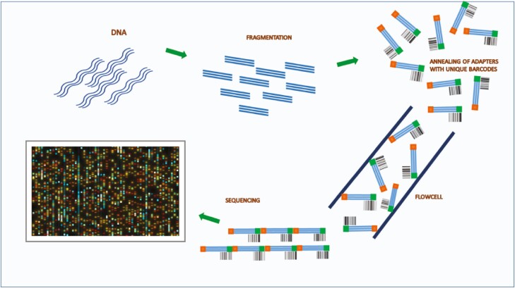 Figure 2.