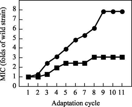 FIG. 1.